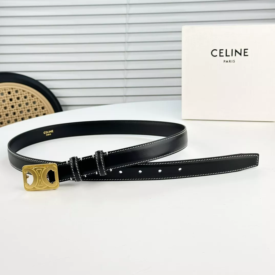Compact 6858 Celine AAA Quality Belts In 2.5cm For Women