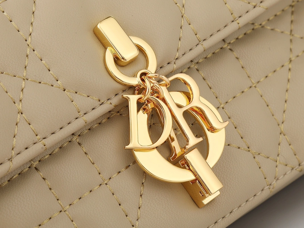 Cozy 2422 Christian Dior AAA Quality Messenger Bags For Women