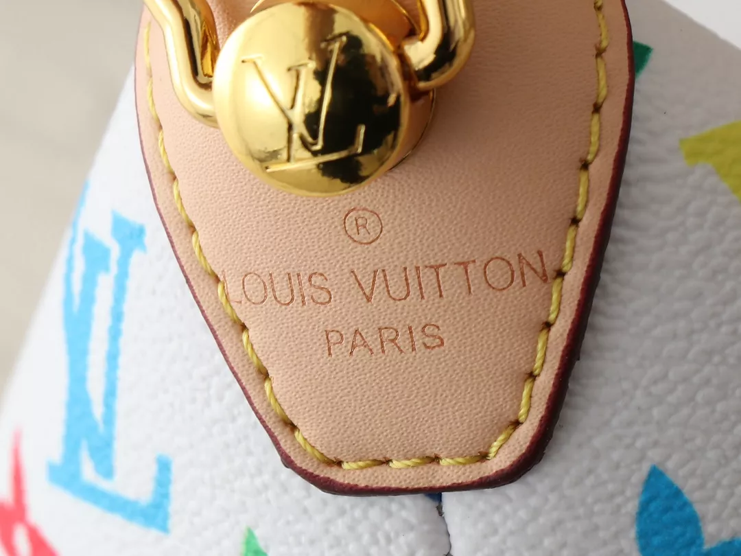 Cozy 326 Louis Vuitton AAA Quality Messenger Bags For Women