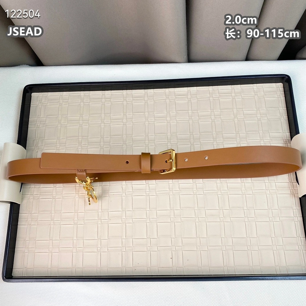 Cozy 4142 Christian Dior AAA Quality Belts For Women