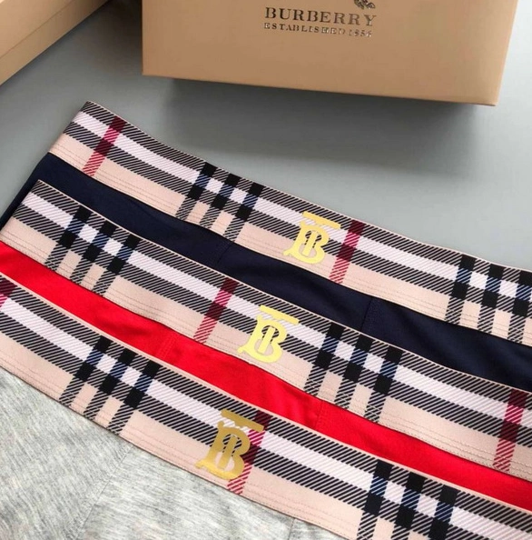 Cozy 4741 Burberry Underwear For Men