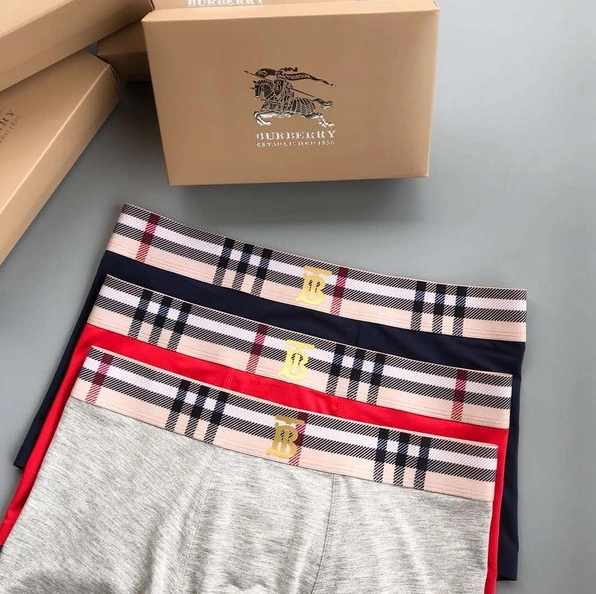 Cozy 4741 Burberry Underwear For Men