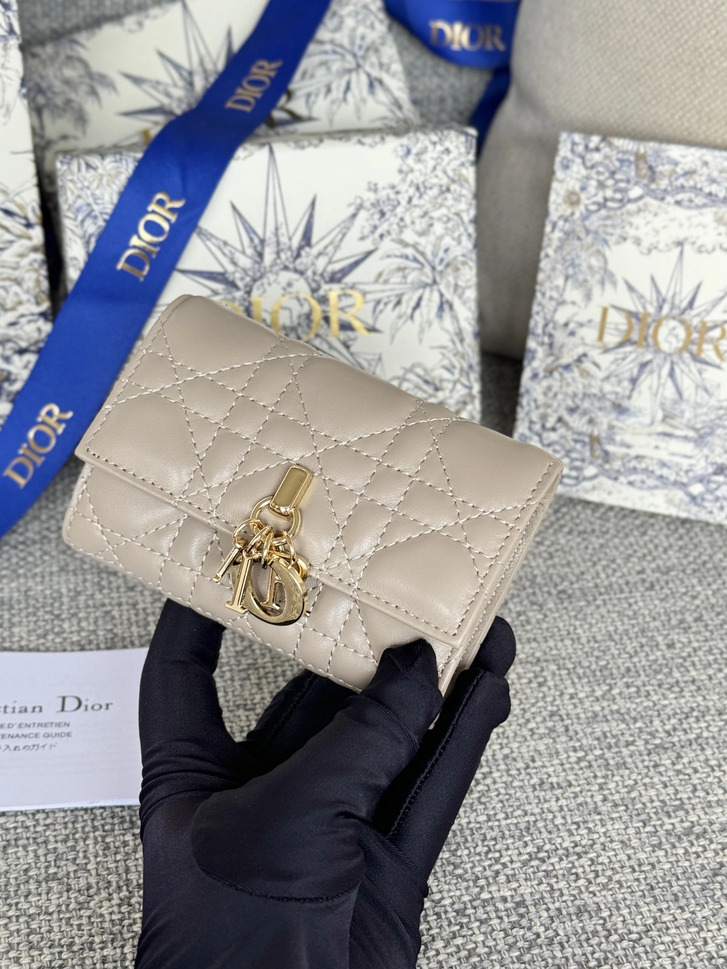 Cozy 5561 Christian Dior AAA Wallets For Women