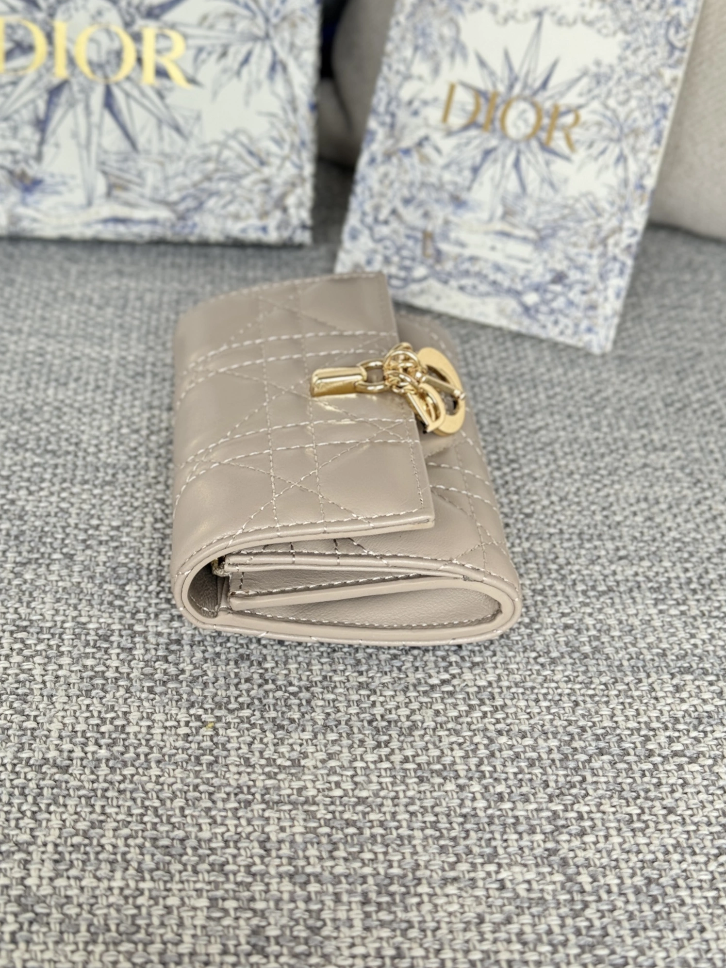 Cozy 5561 Christian Dior AAA Wallets For Women