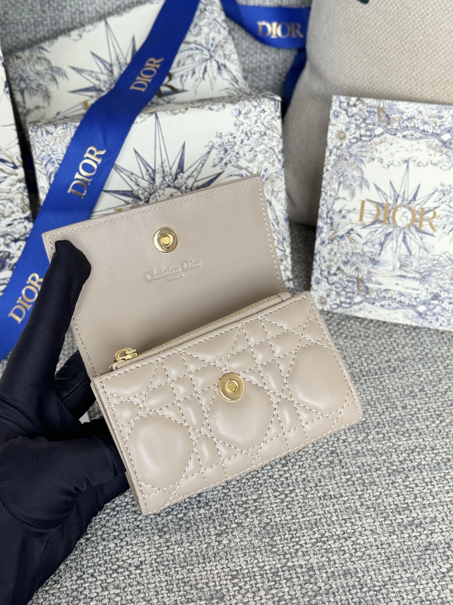 Cozy 5561 Christian Dior AAA Wallets For Women