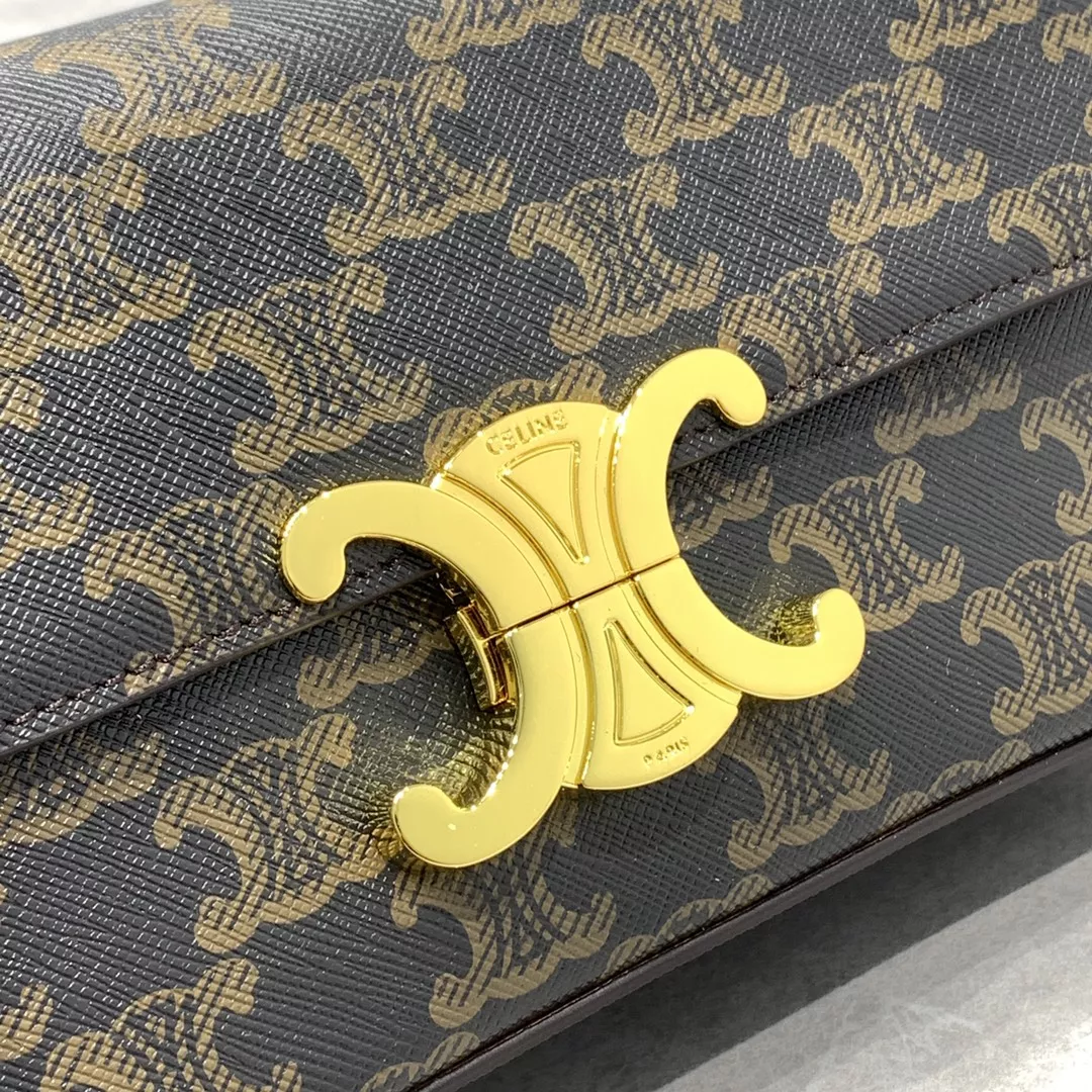 Cozy 7466 Celine AAA Quality Shoulder Bags For Women