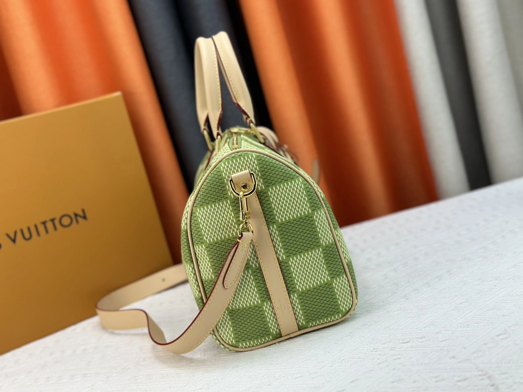 DailyWear 1002 Louis Vuitton AAA Quality Handbags For Women