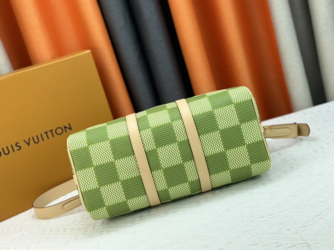 DailyWear 1002 Louis Vuitton AAA Quality Handbags For Women