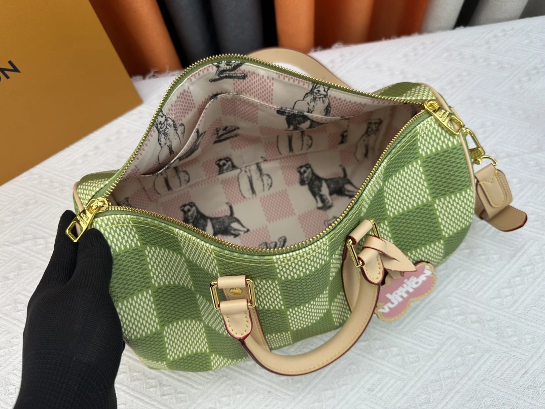 DailyWear 1002 Louis Vuitton AAA Quality Handbags For Women