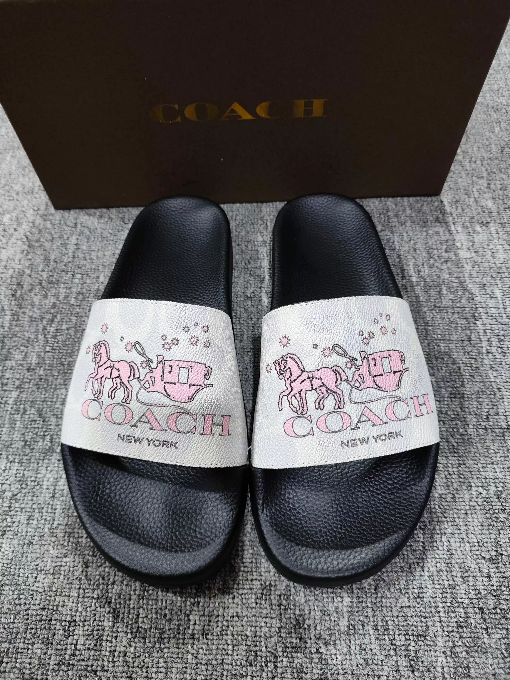 DailyWear 1095 Coach Slippers For Men
