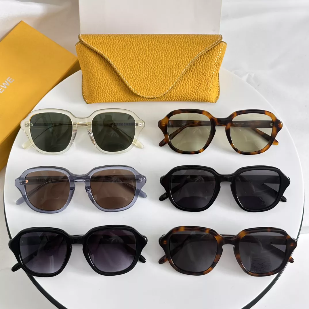 DailyWear 1152 LOEWE AAA Quality Sunglasses