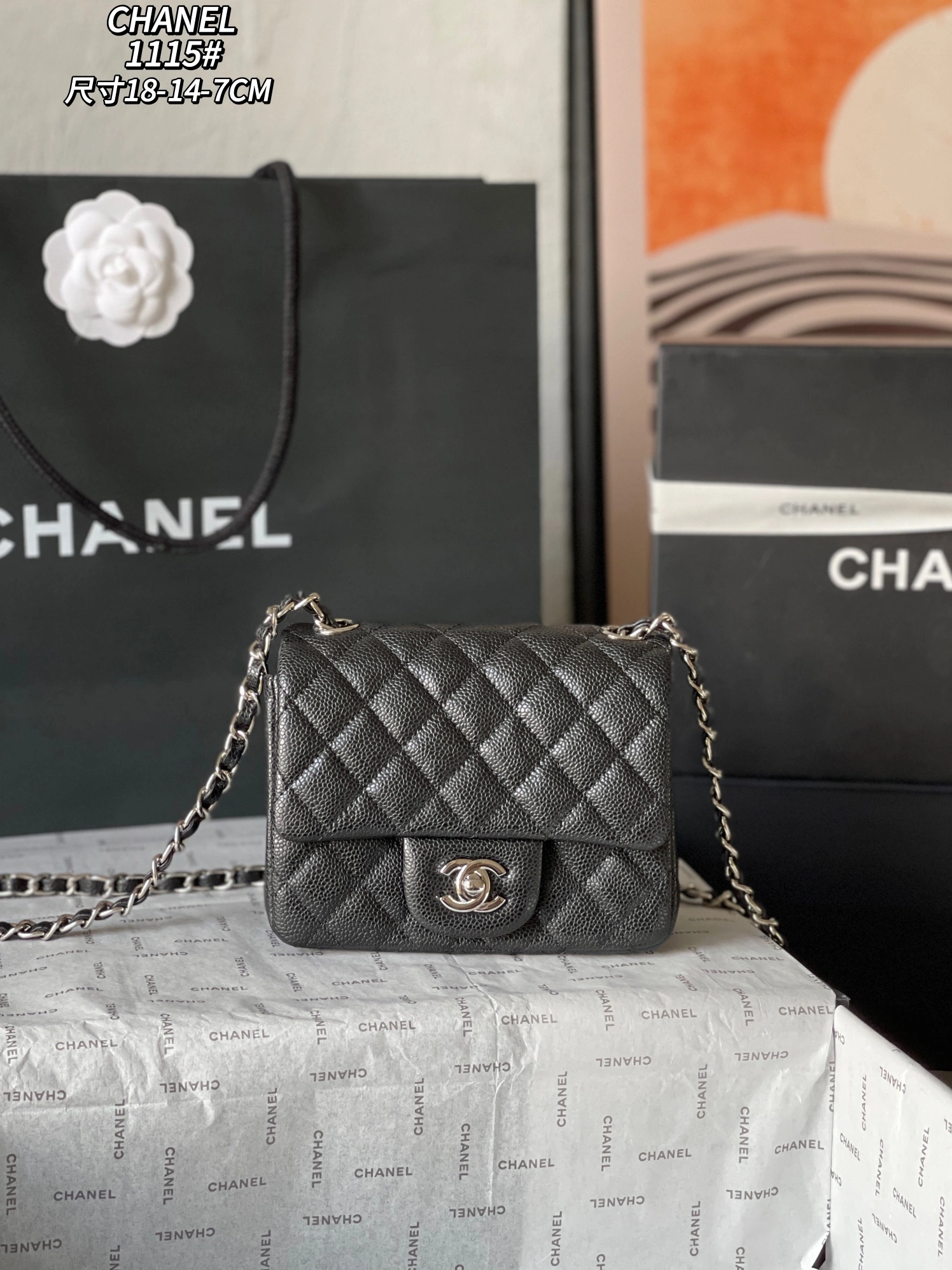 DailyWear 2026 Chanel AAA Quality Messenger Bags For Women