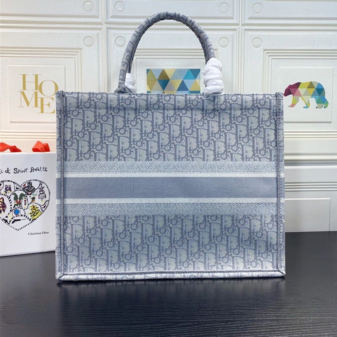 DailyWear 2563 Christian Dior AAA Quality Handbags For Women