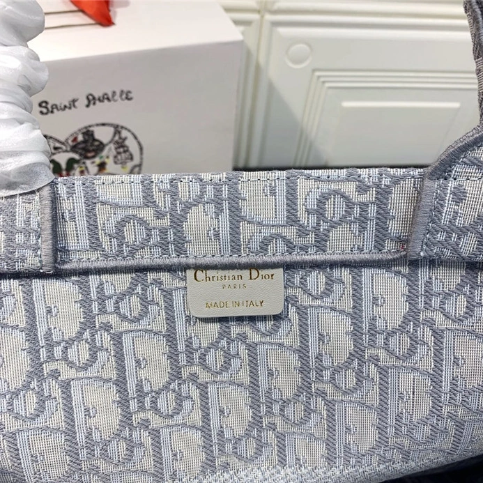 DailyWear 2563 Christian Dior AAA Quality Handbags For Women