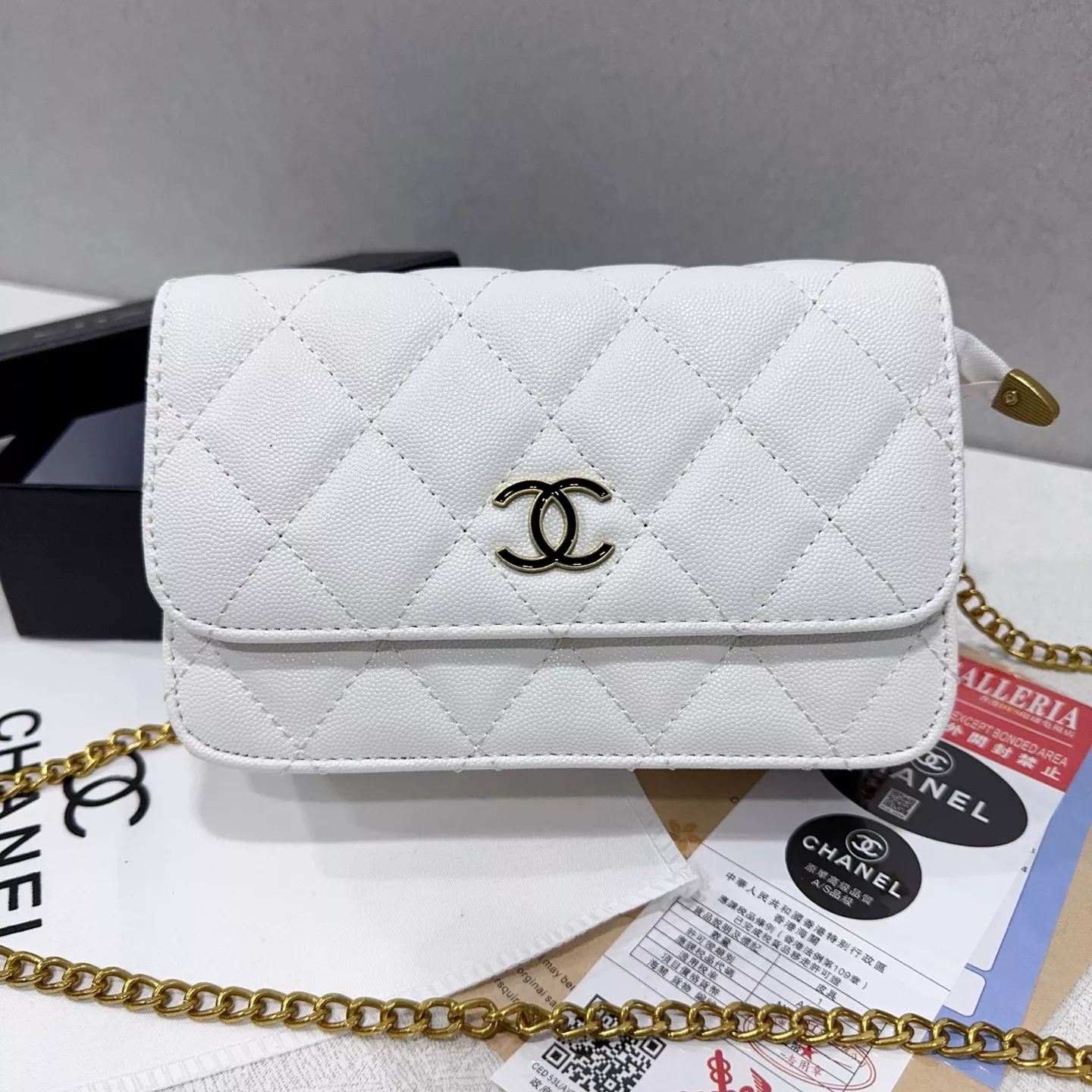 DailyWear 3003 Chanel Messenger Bags For Women