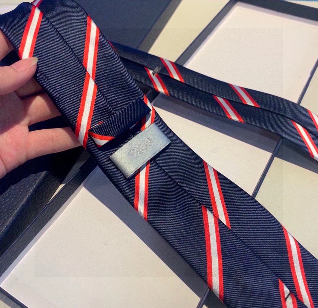DailyWear 3181 Christian Dior Necktie For Men