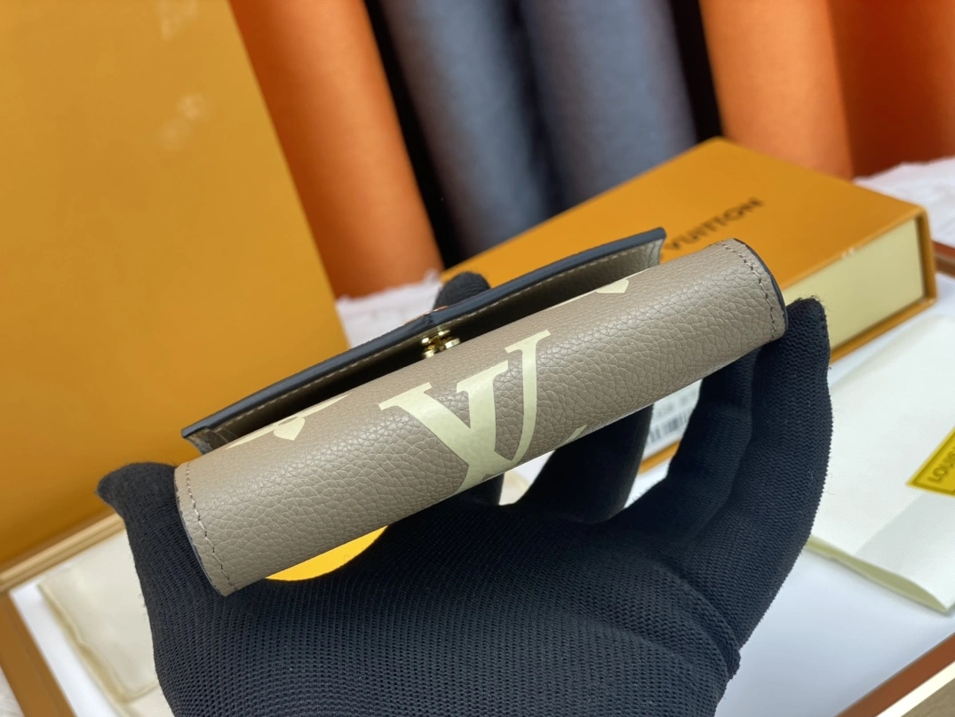 DailyWear 4260 Louis Vuitton AAA Quality Wallets
