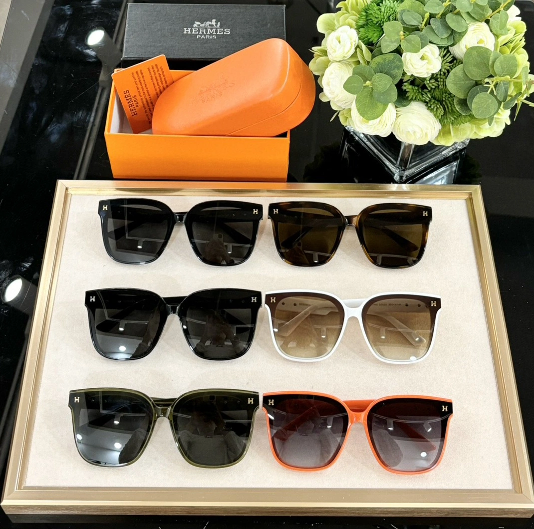DailyWear 4492 Hermes AAA Quality Sunglasses