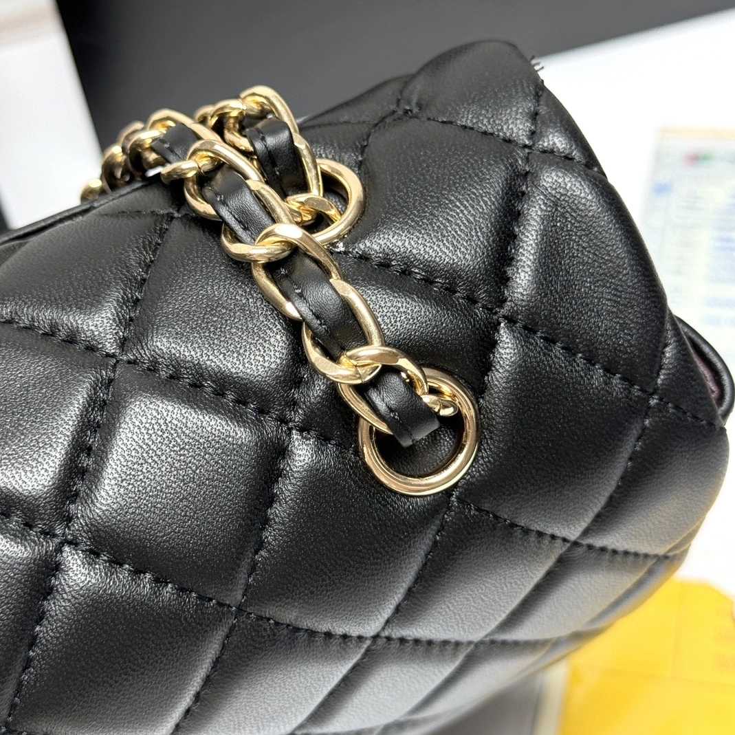 DailyWear 4737 Chanel AAA Quality Shoulder Bags For Women
