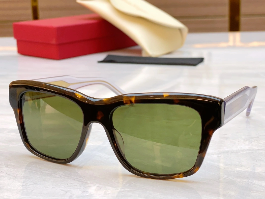 DailyWear 4780 Salvatore Ferragamo AAA Quality Sunglasses