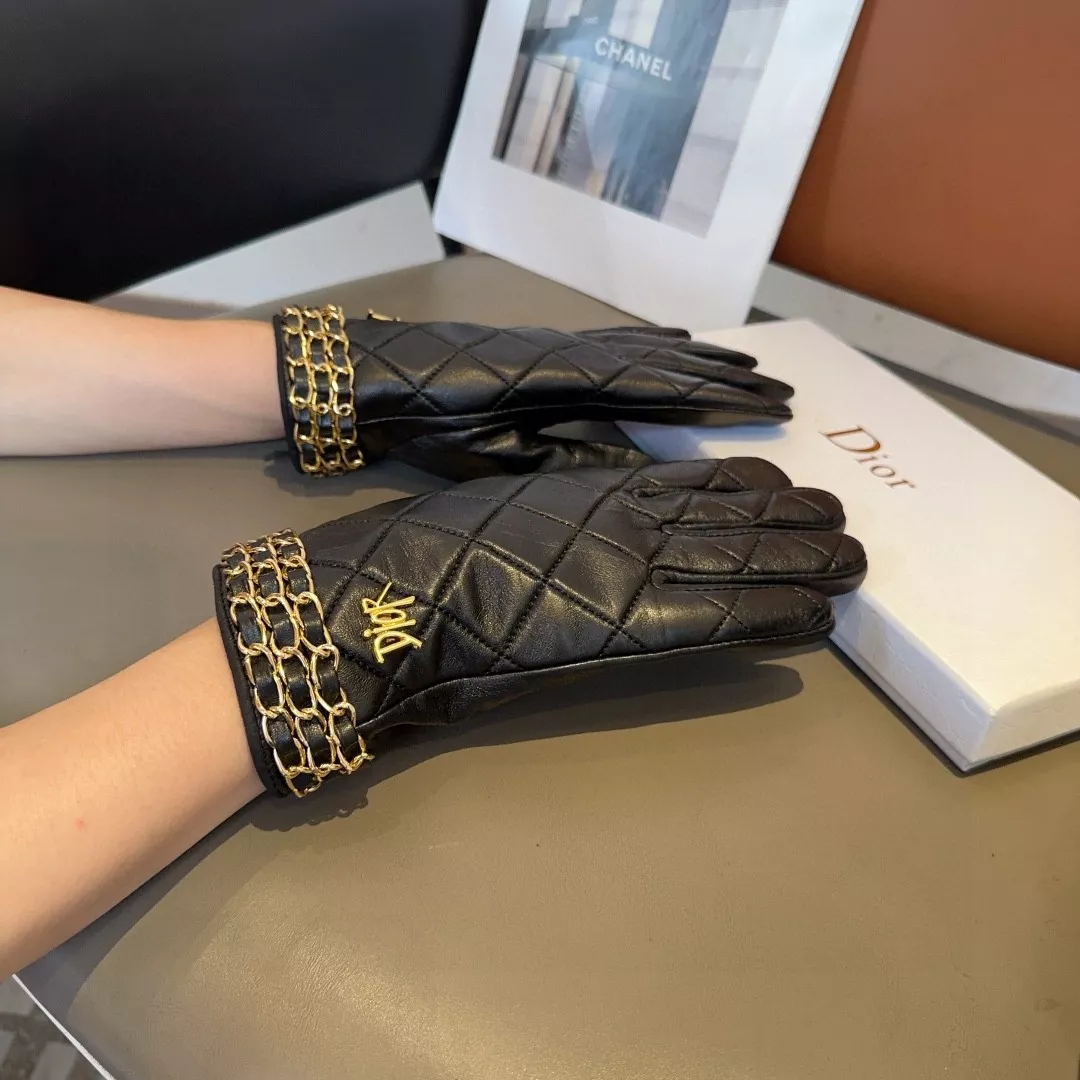 DailyWear 5152 Christian Dior Gloves
