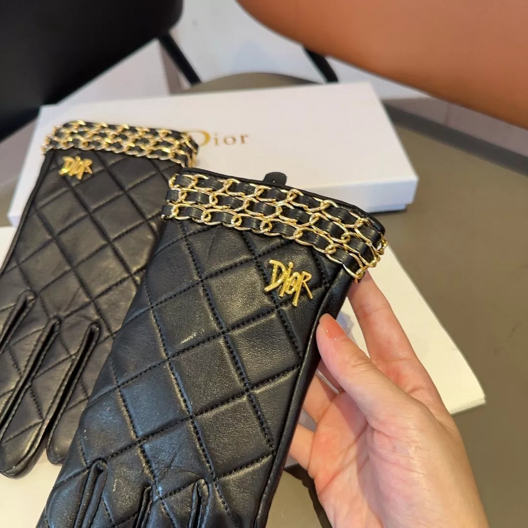 DailyWear 5152 Christian Dior Gloves
