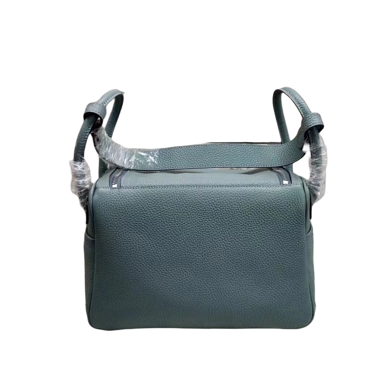 DailyWear 5195 Hermes AAA Quality Handbags For Women