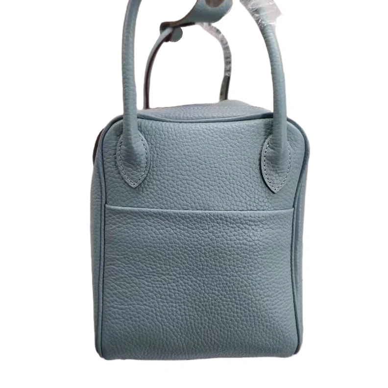 DailyWear 5195 Hermes AAA Quality Handbags For Women