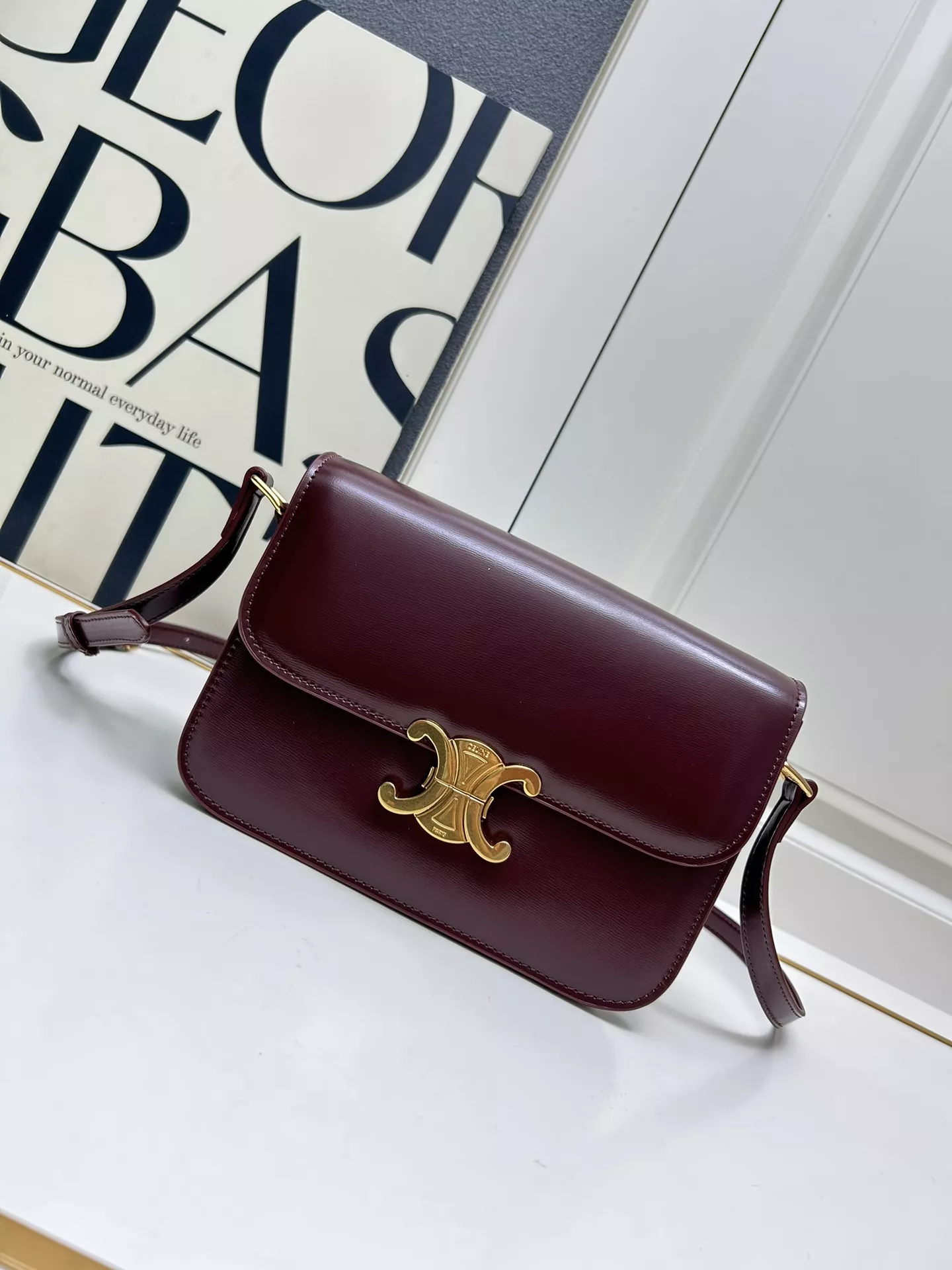 DailyWear 5333 Celine AAA Quality Messenger Bags For Women