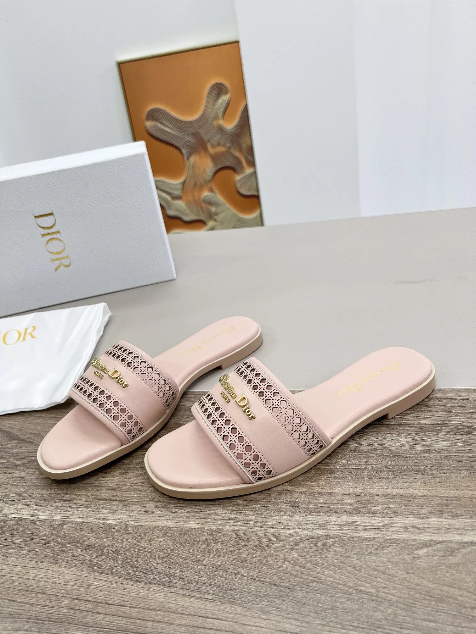 DailyWear 5426 Christian Dior Slippers For Women