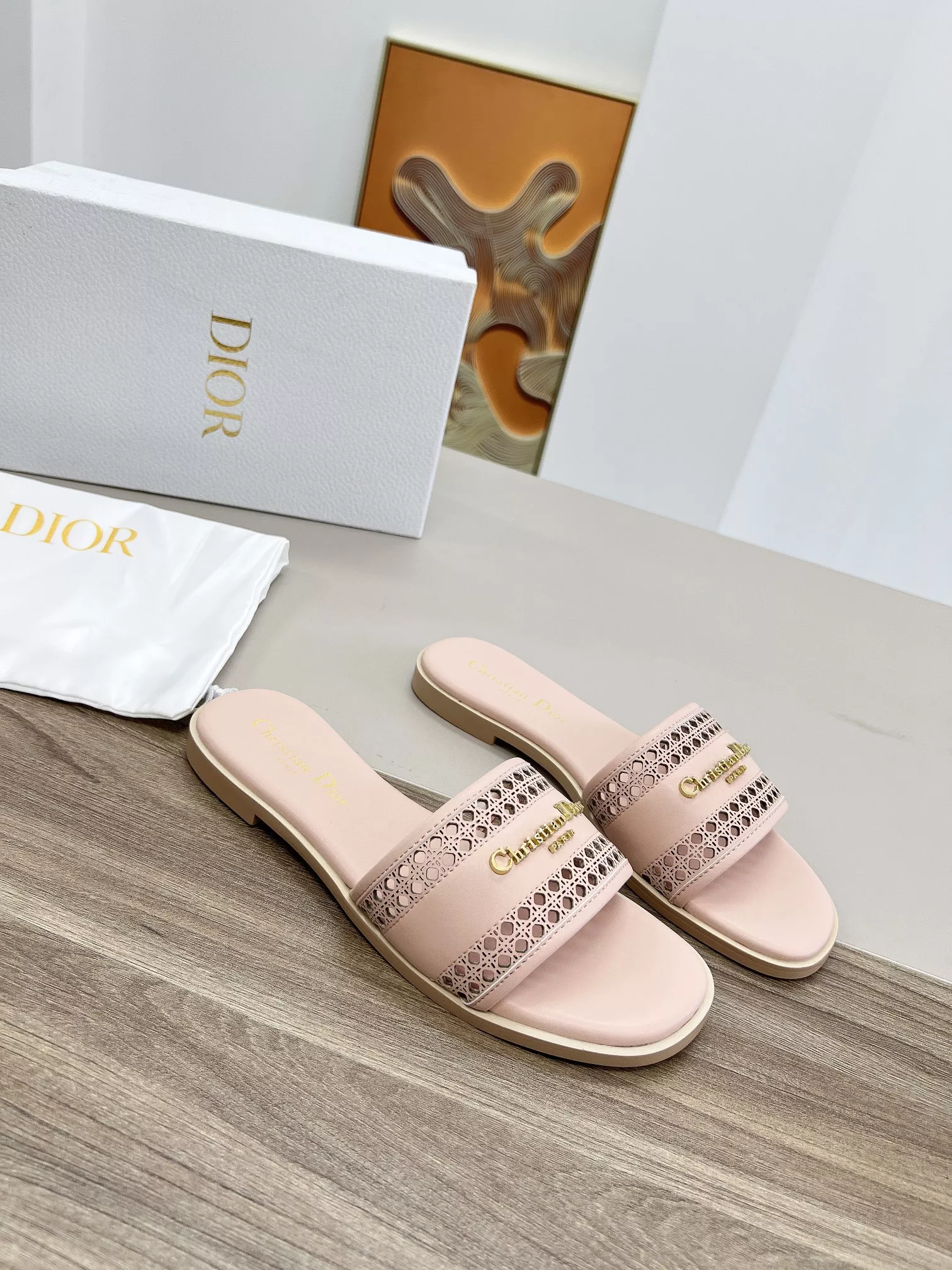 DailyWear 5426 Christian Dior Slippers For Women