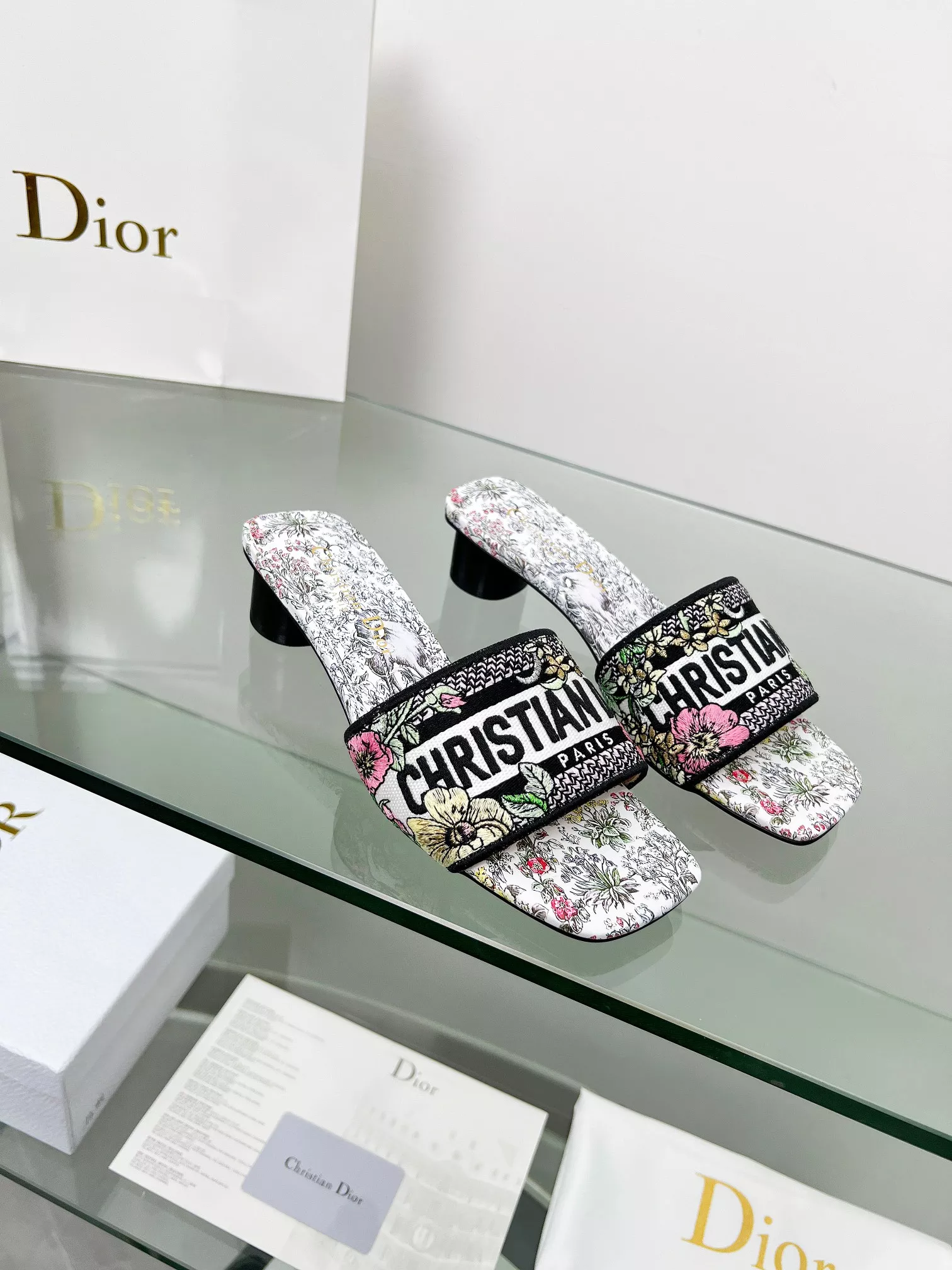 DailyWear 5703 Christian Dior Slippers For Women