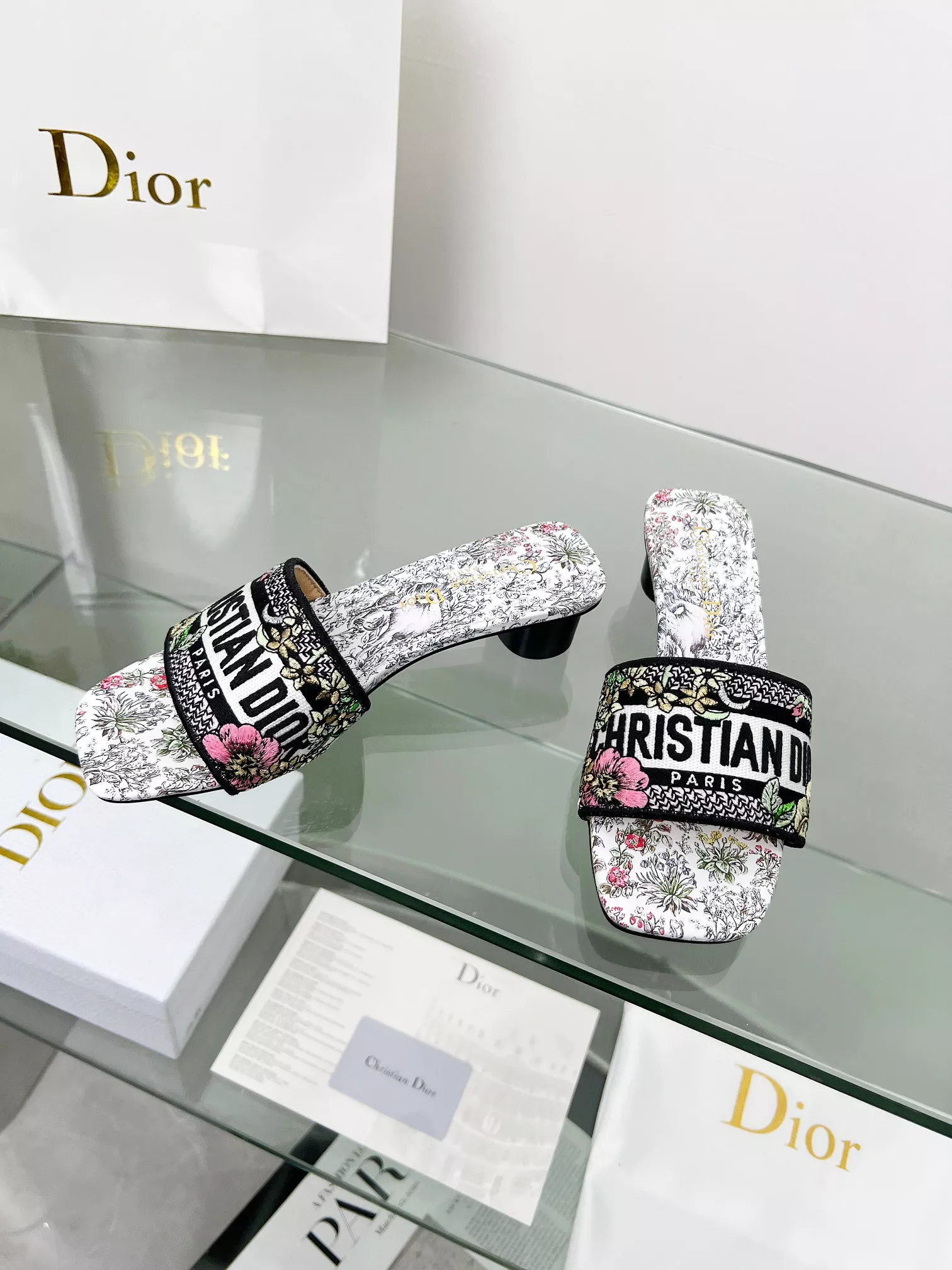 DailyWear 5703 Christian Dior Slippers For Women