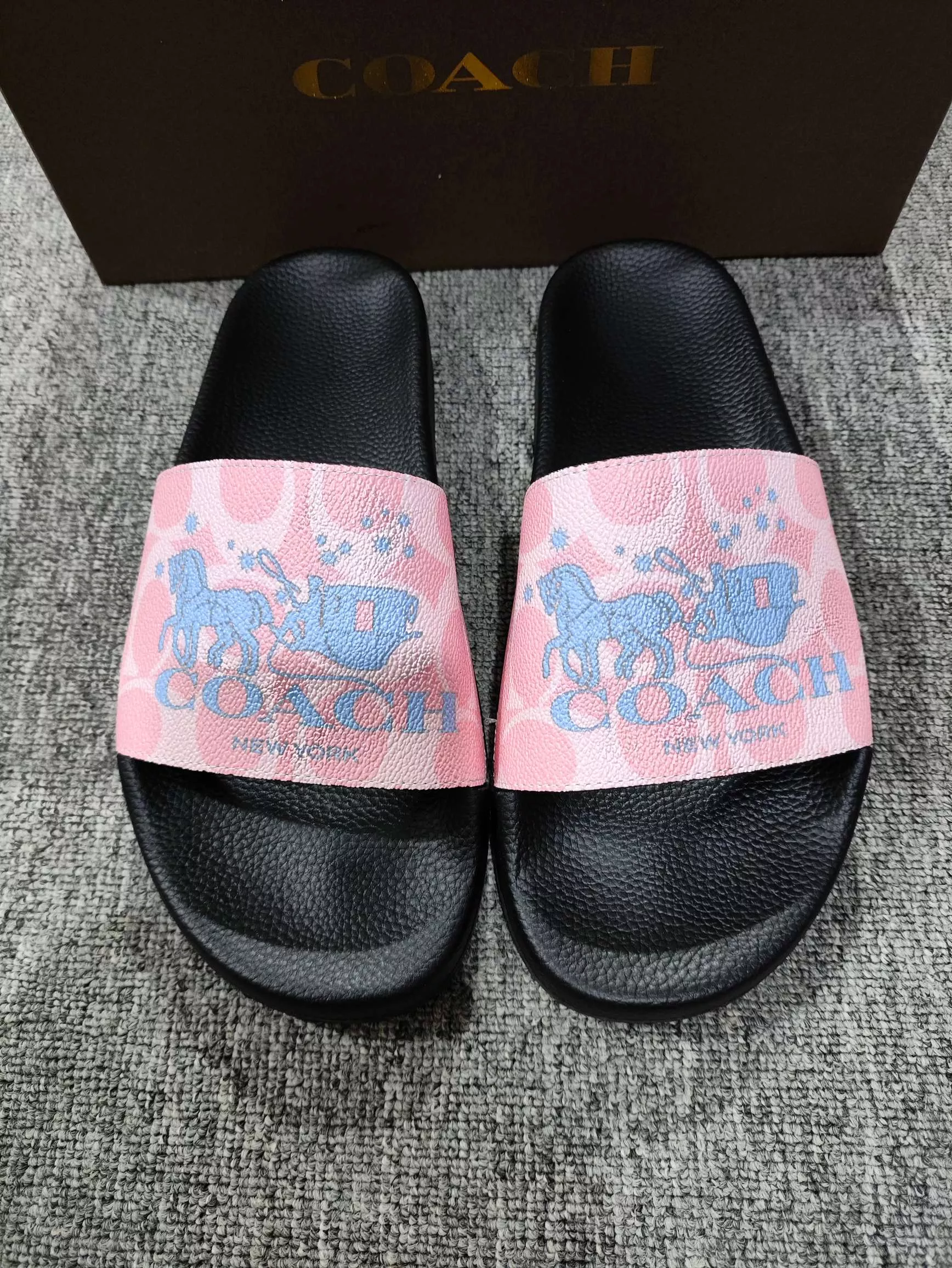 DailyWear 6631 Coach Slippers For Women