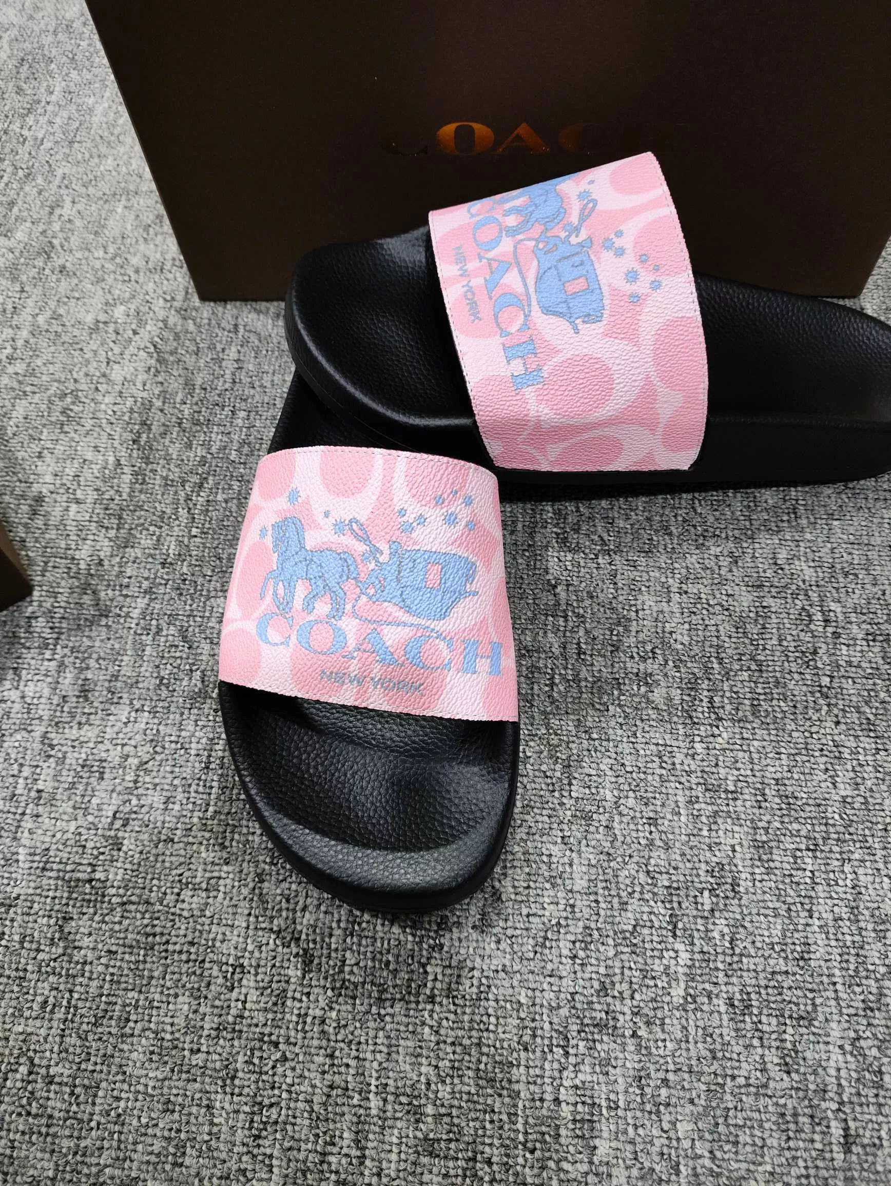 DailyWear 6631 Coach Slippers For Women