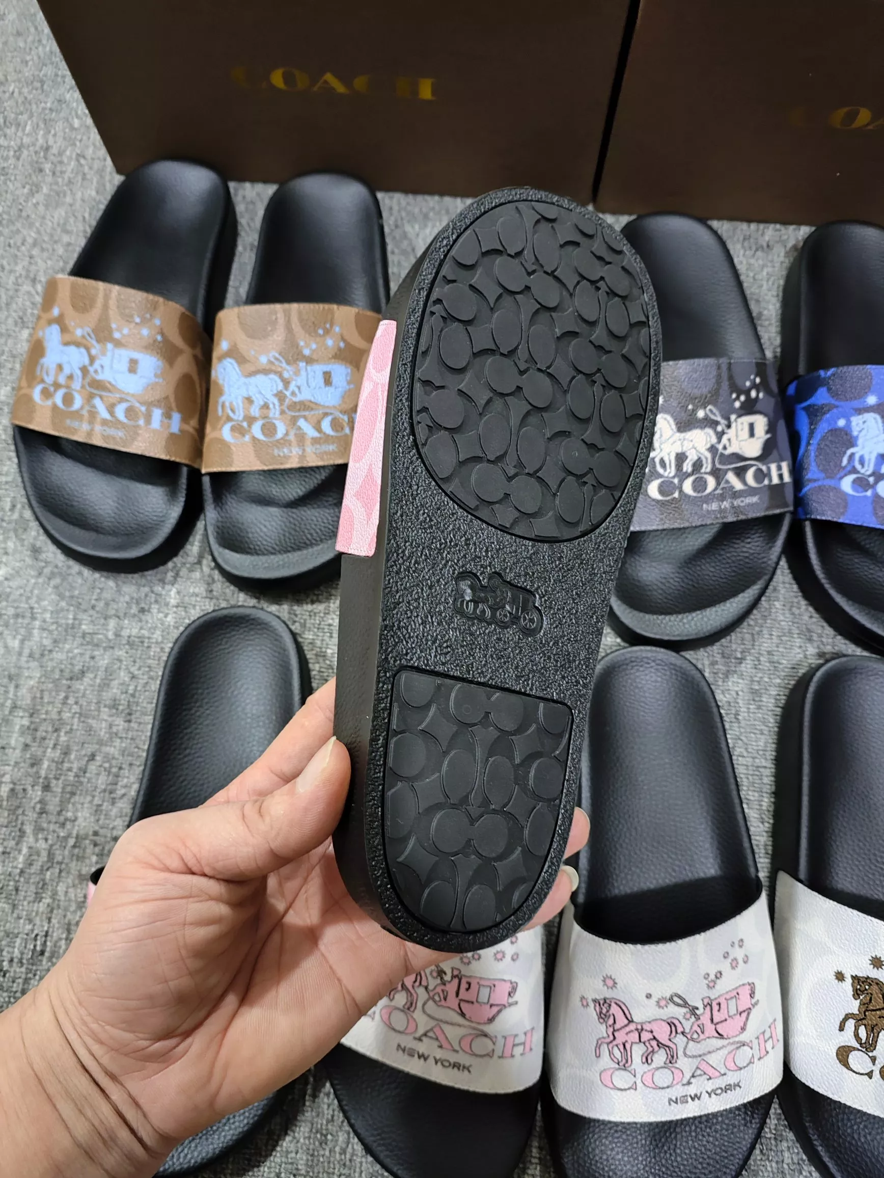DailyWear 6631 Coach Slippers For Women