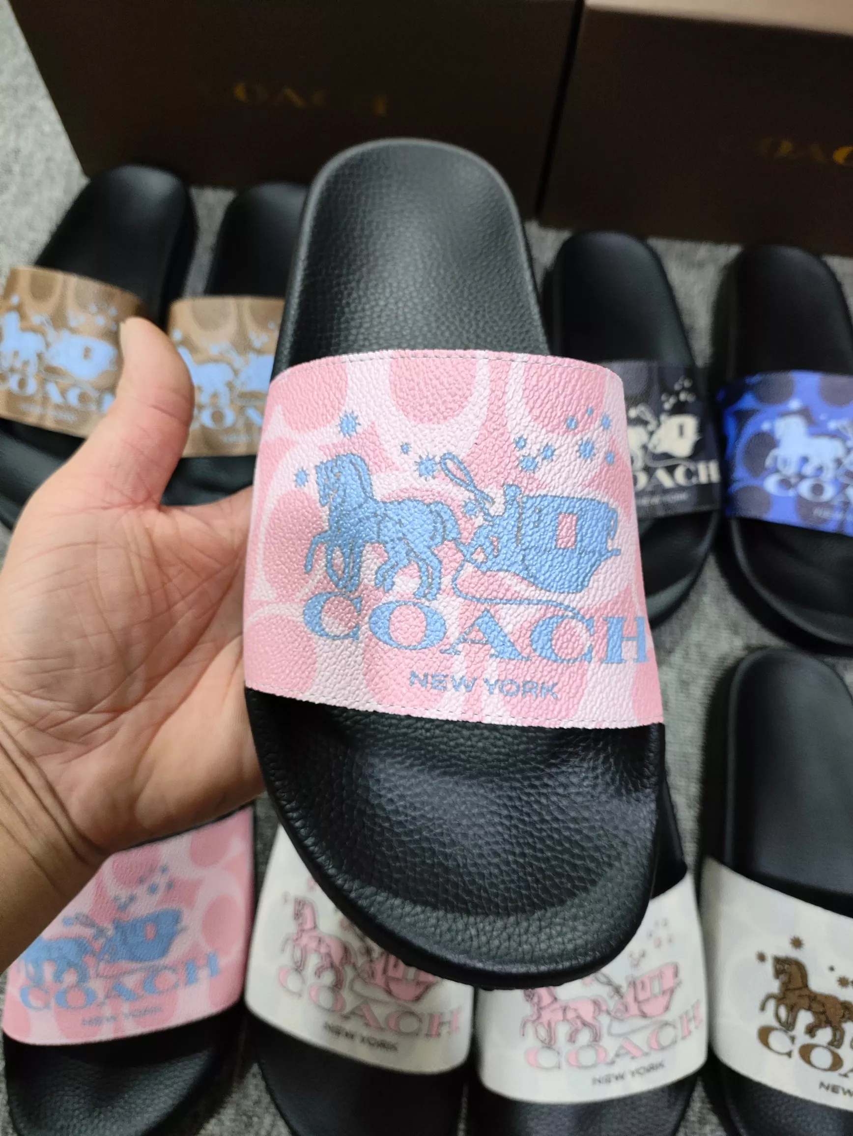DailyWear 6631 Coach Slippers For Women