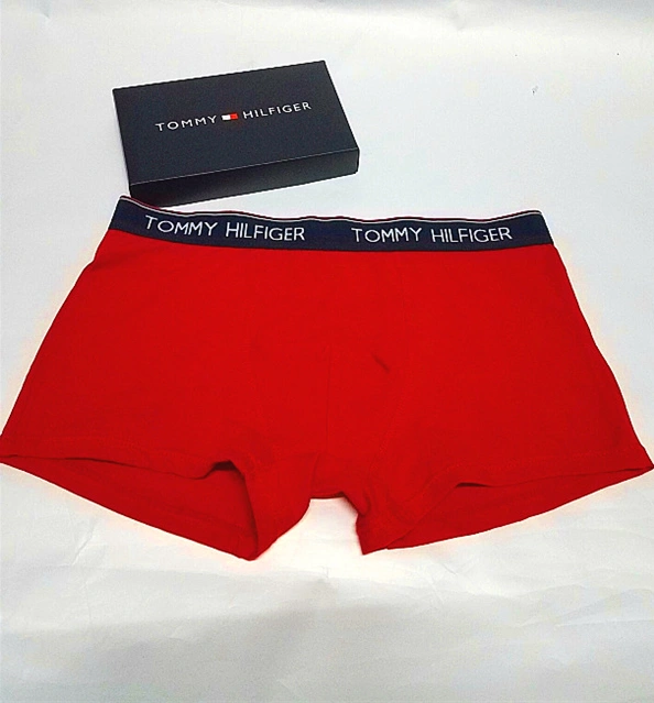 DailyWear 6667 Tommy Hilfiger TH Underwears For Men