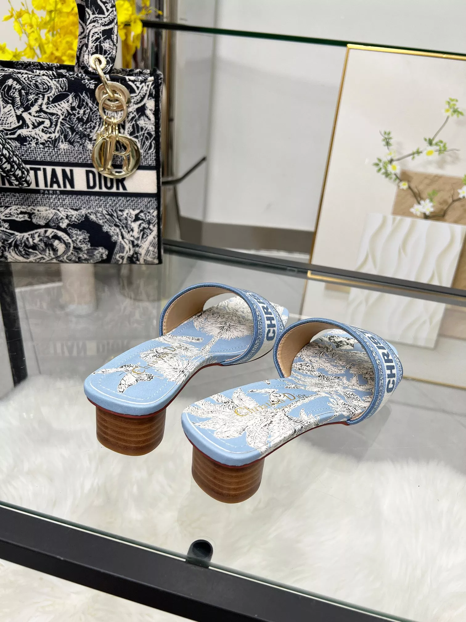 DailyWear 7381 Christian Dior Slippers For Women