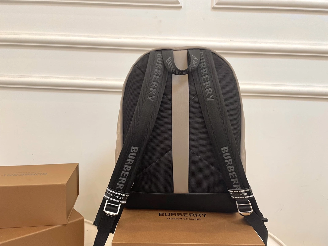 DailyWear 7382 Burberry AAA Man Backpacks
