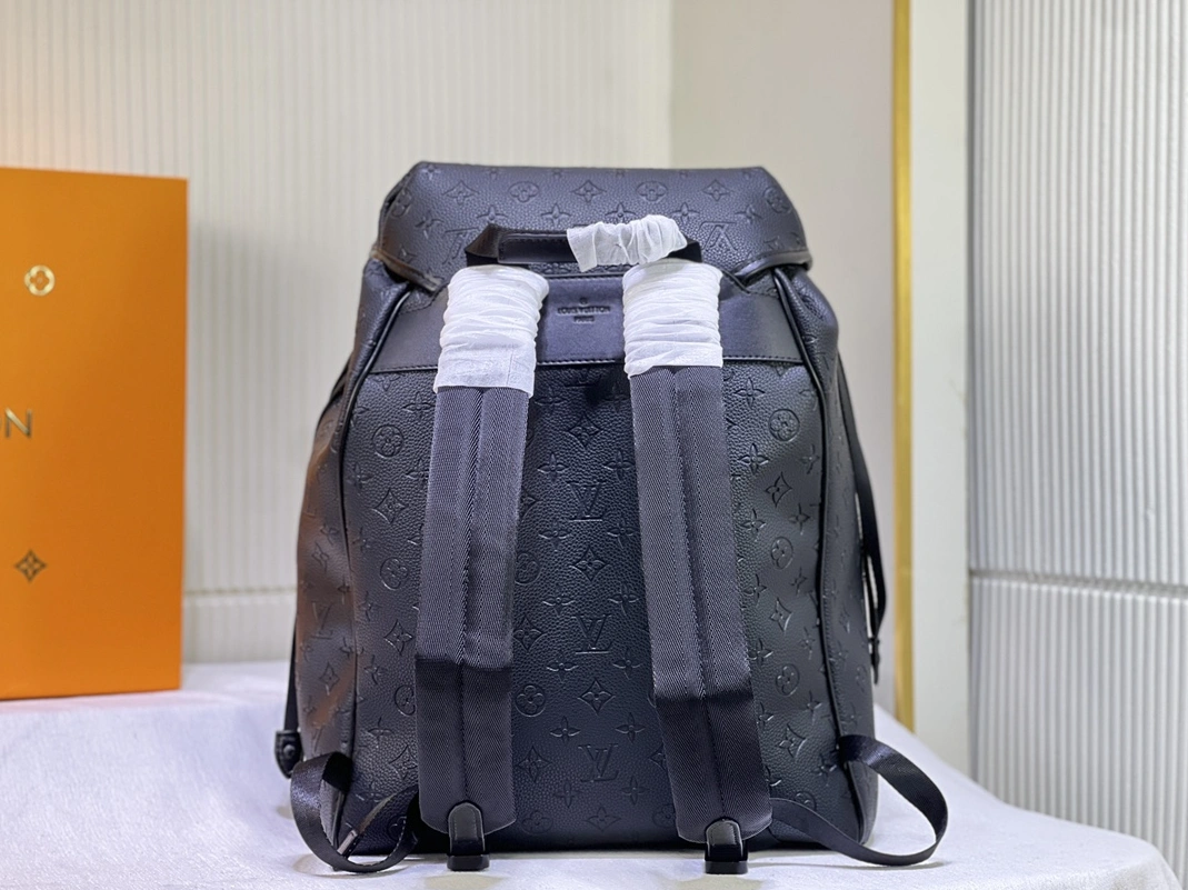 DailyWear 7876 Louis Vuitton LV AAA Man Backpacks