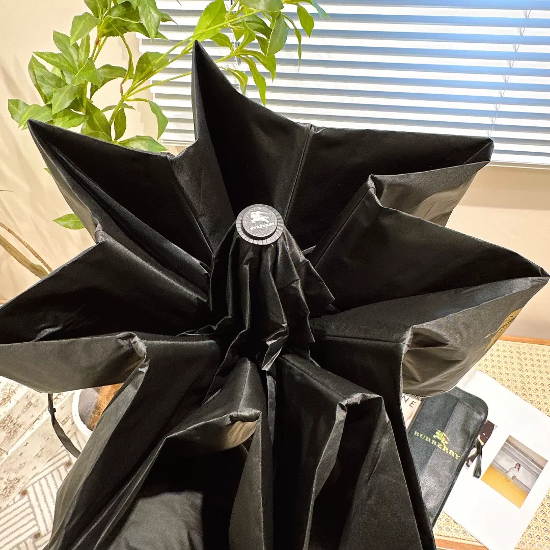 DailyWear 8355 Burberry Umbrellas