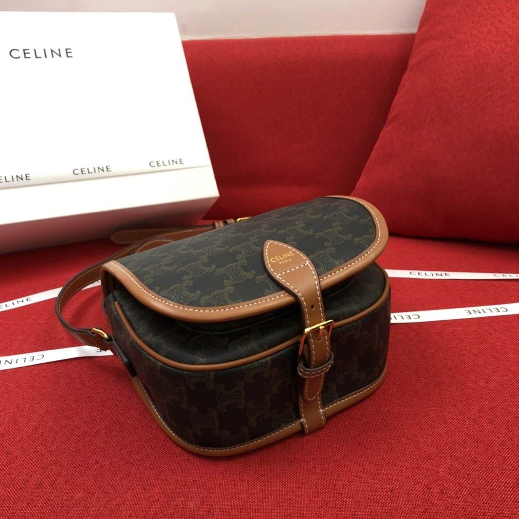 DailyWear 8513 Celine AAA Quality Messenger Bags For Women
