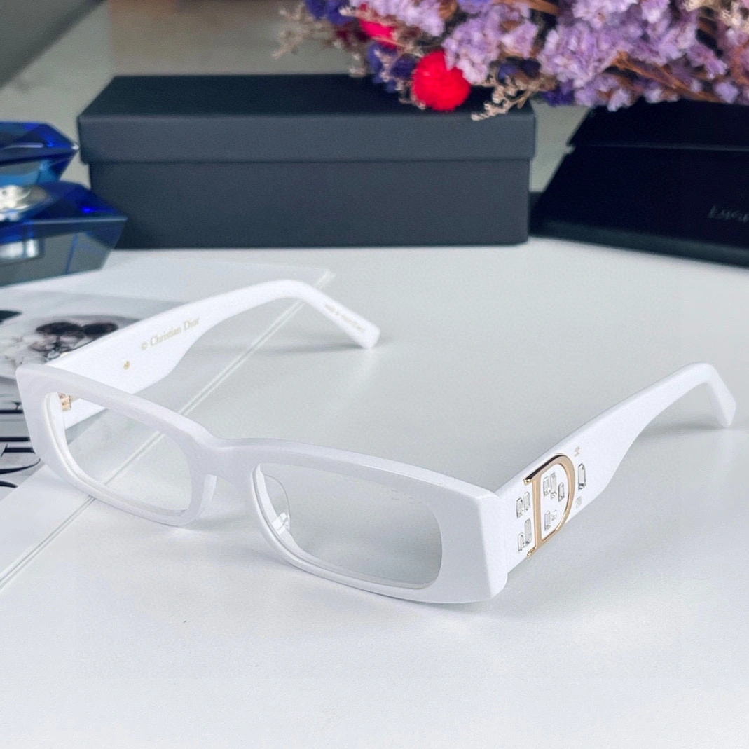 Dior Fashion Goggles Functional 9473
