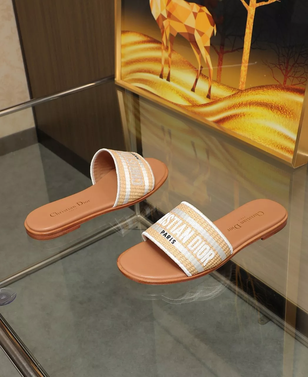 Durable 2183 Christian Dior Slippers For Women