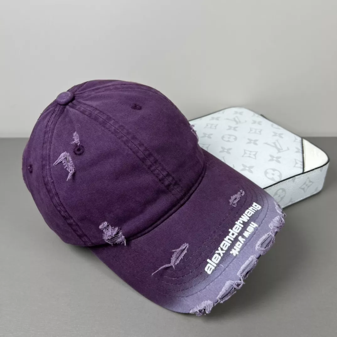 Durable 3342 Alexander Wang Caps