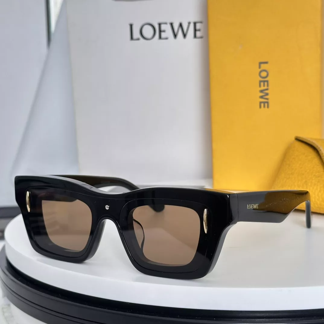Durable 3858 LOEWE AAA Quality Sunglasses