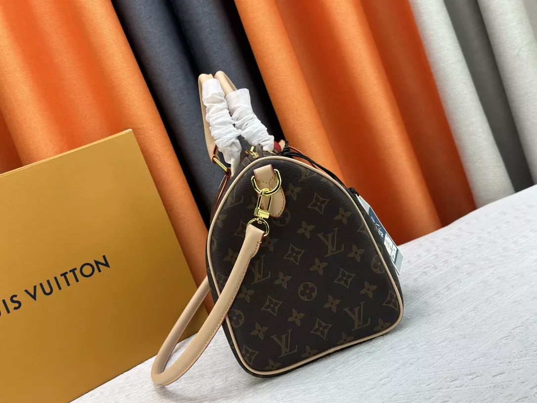 Durable 5073 Louis Vuitton AAA Quality Handbags For Women