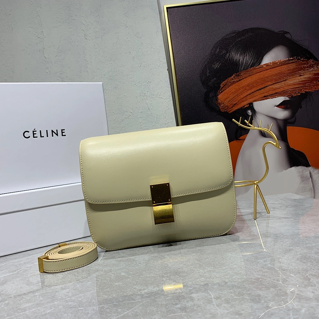 Durable 5439 Celine AAA Quality Messenger Bags For Women