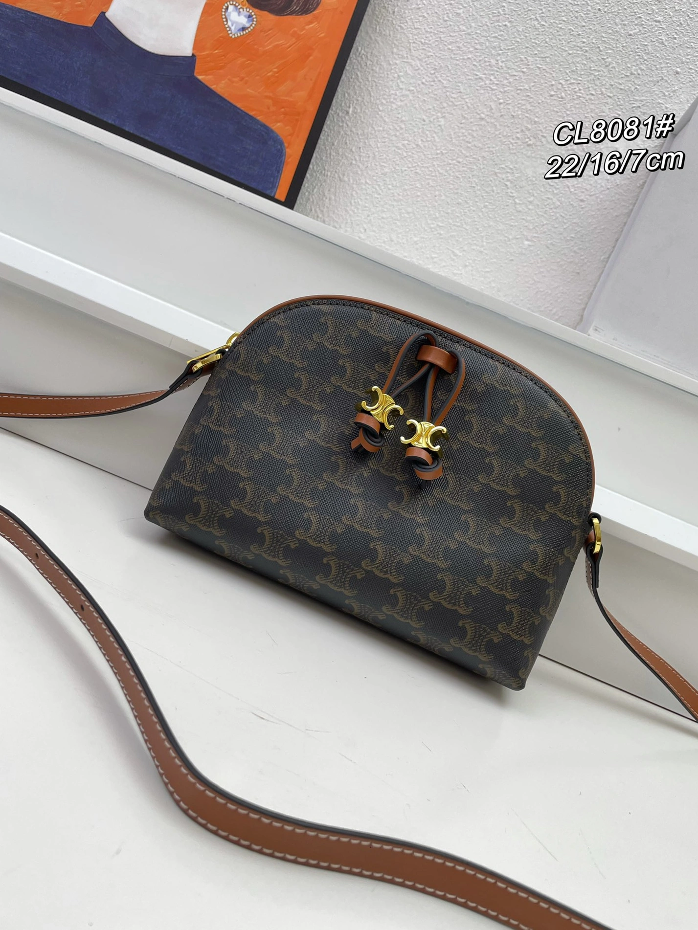 EasyMatch 3813 Celine AAA Quality Messenger Bags For Women
